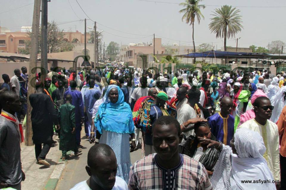 PHOTOS - ZIARRE GENERALE 2015 - Les Temps Forts de la Ziarra des Fideles à la Zawiya El Hadj Malick Sy et Mosquee Serigne Babacar Sy